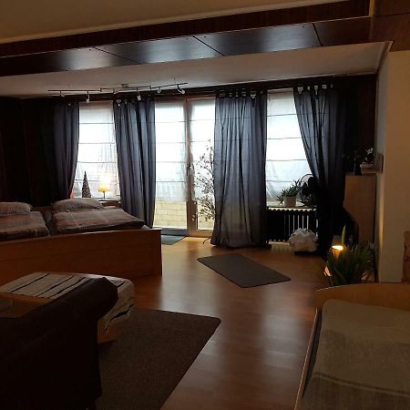 Koln-Bonn Appartment Wesseling Luaran gambar